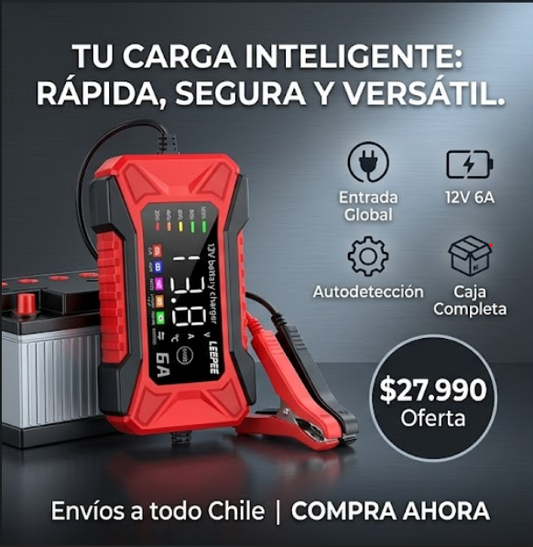 Cargador inteligente para batería de vehículos.
